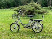 Электровелосипед GreenCamel Транк 20 V8 (R20 250W 60V 10Ah) - Фото 5
