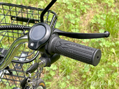 Электровелосипед GreenCamel Транк 20 V8 (R20 250W 60V 10Ah) - Фото 10