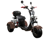 Электротрицикл SKYBOARD Irtysh TRIKE BR40-3000 PRO FAST OFF-ROAD - Фото 8