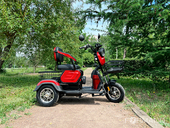 Электротрицикл TRION COMPASS 1000W (Красный) - Фото 22